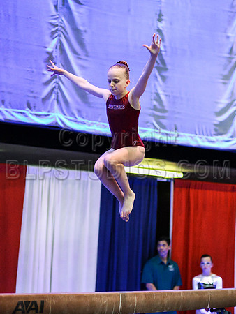 HSM_0407