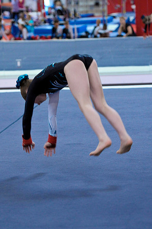 _RFJ7329
