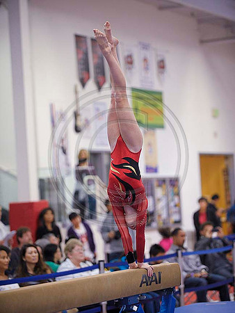 _RFJ9952