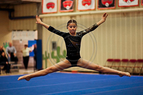TAZ11766