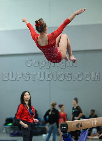 HSM_4384