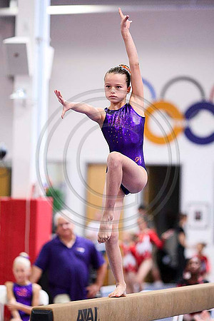 TAZ25065
