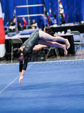 HSM_1202