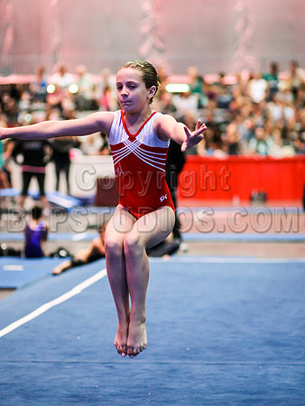 HSM_2193