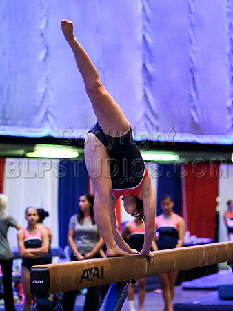 HSM_2641