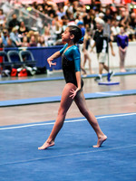 HSM_3381