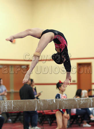 HSM_3639
