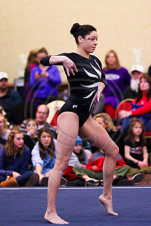 TAZ2011