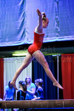 HSM_8497