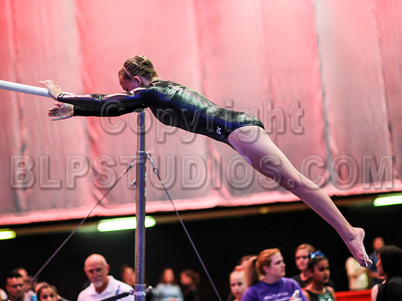 HSM_0204