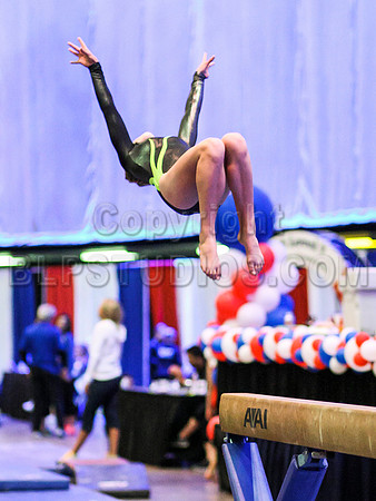 HSM_0764