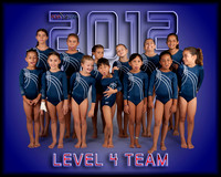 Level 4 Goofy 8X10