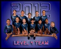 Level 4 Team 8X10
