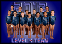 Level 4 Team No Coaches 5X7