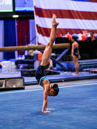 HSM_1423