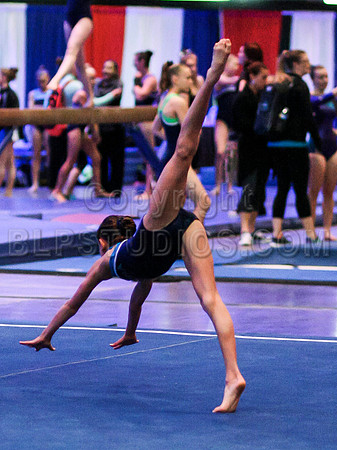 HSM_1461