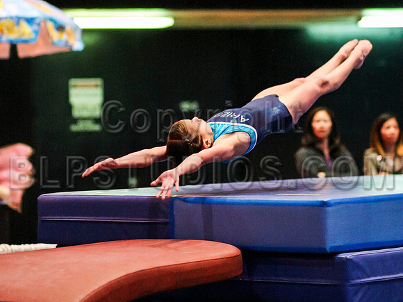 HSM_2065