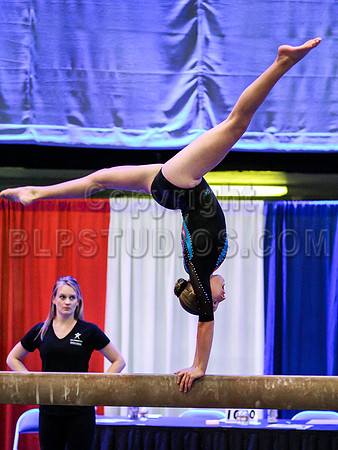 HSM_1206