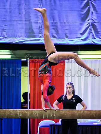 HSM_1209