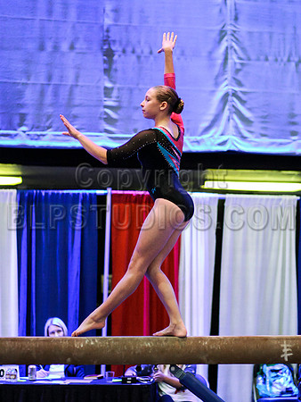 HSM_1373