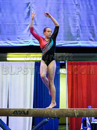 HSM_1392