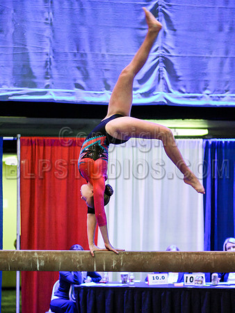 HSM_1403