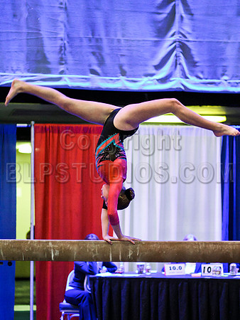 HSM_1404