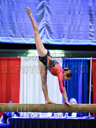 HSM_1407