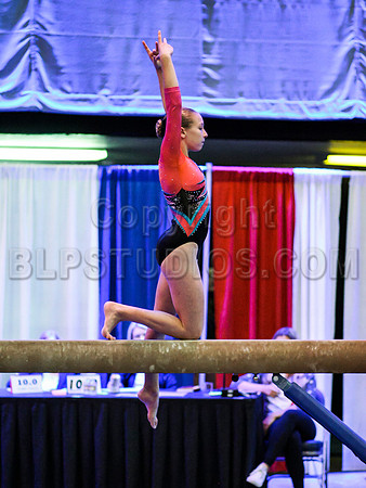 HSM_1409