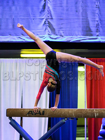 HSM_1413
