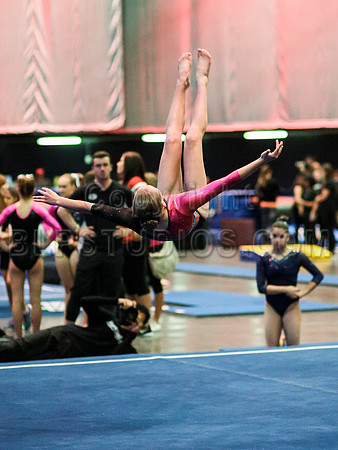HSM_1816