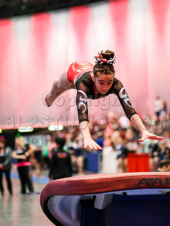 HSM_0161