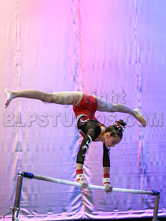 HSM_0361