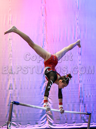 HSM_0362