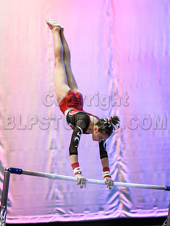 HSM_0728