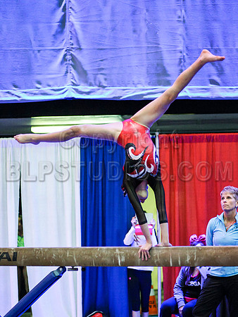 HSM_1153