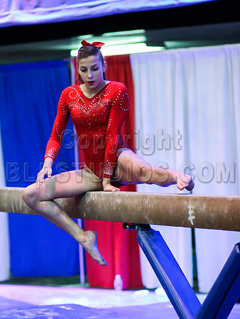 HSM_0863
