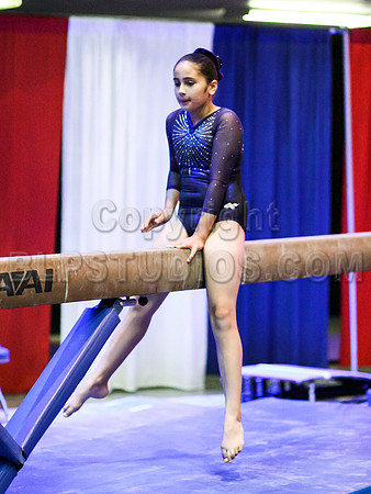 HSM_0429