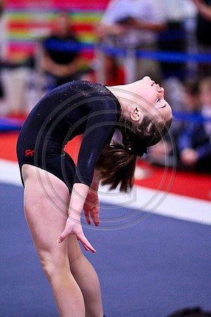TAZ25346
