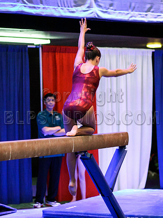 HSM_0354