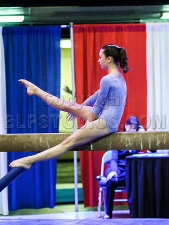 HSM_2008