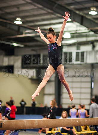 HSM_0972