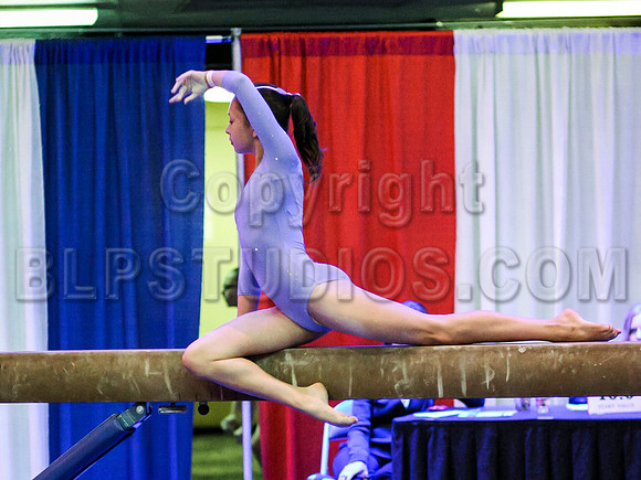 HSM_2013