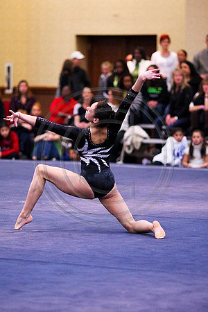 TAZ20095