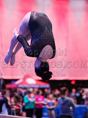 HSM_9125