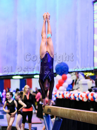 HSM_0229
