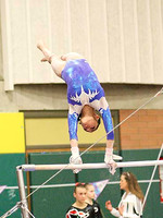 HSM_0431