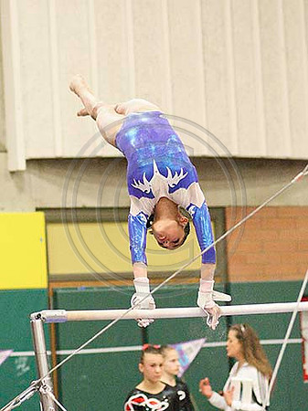 HSM_0431