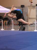 BEC_0035