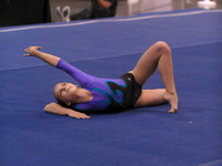 BEC_0015
